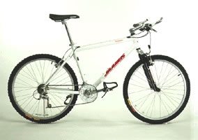 Alpine Mountain Bike